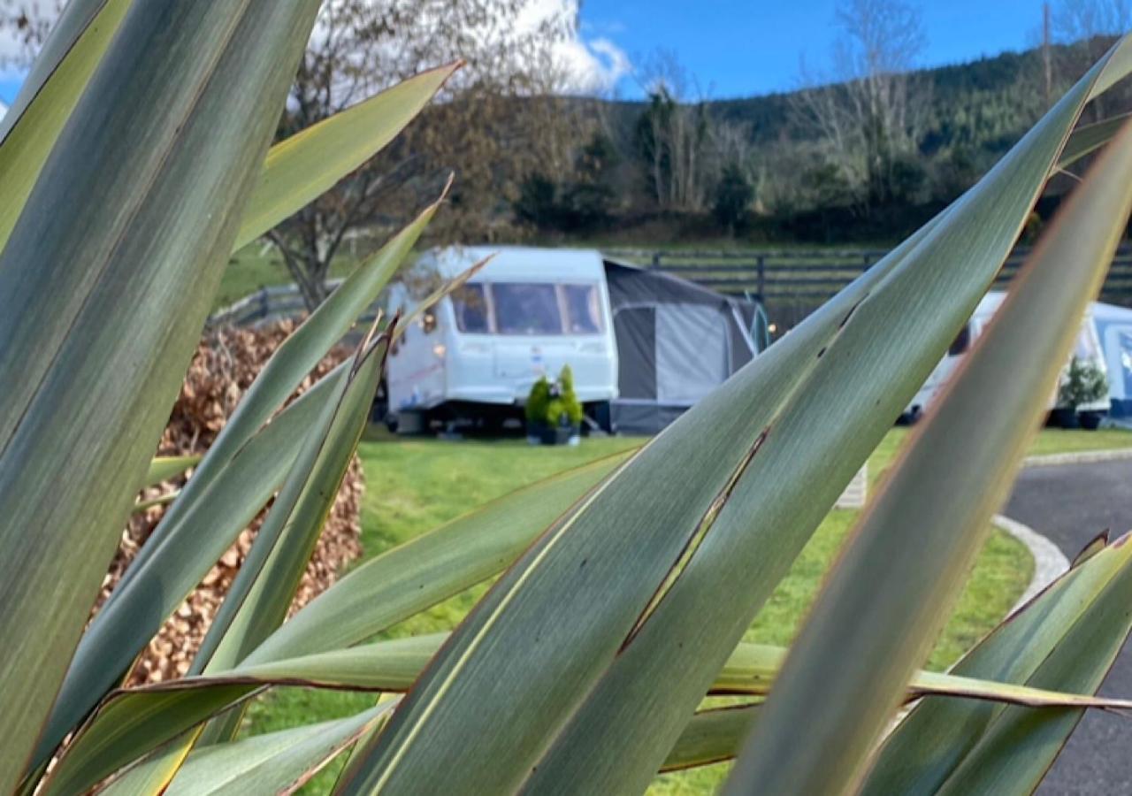 Rostrevor Valley Caravans With Private Hot Tub Екстериор снимка